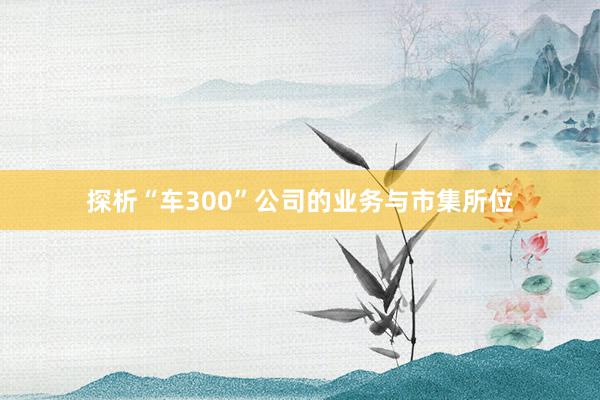 探析“车300”公司的业务与市集所位