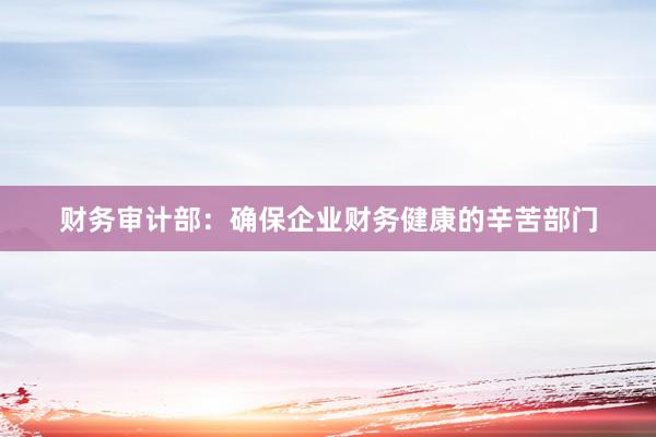 财务审计部：确保企业财务健康的辛苦部门